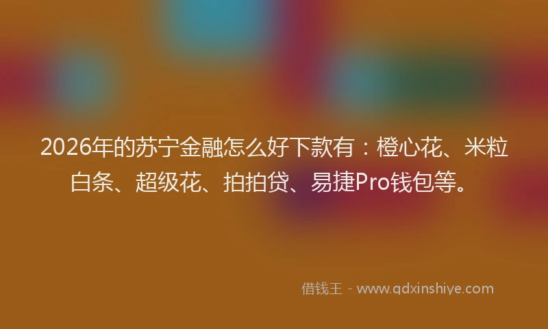2026年的苏宁金融怎么好下款有：橙心花、米粒白条、超级花、拍拍贷、易捷Pro钱包等。