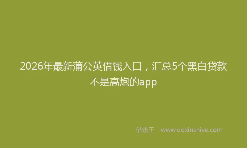 2026年最新蒲公英借钱入口，汇总5个黑白贷款不是高炮的app
