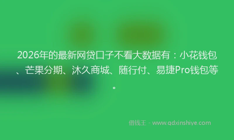 2026年的最新网贷口子不看大数据有：小花钱包、芒果分期、沐久商城、随行付、易捷Pro钱包等。