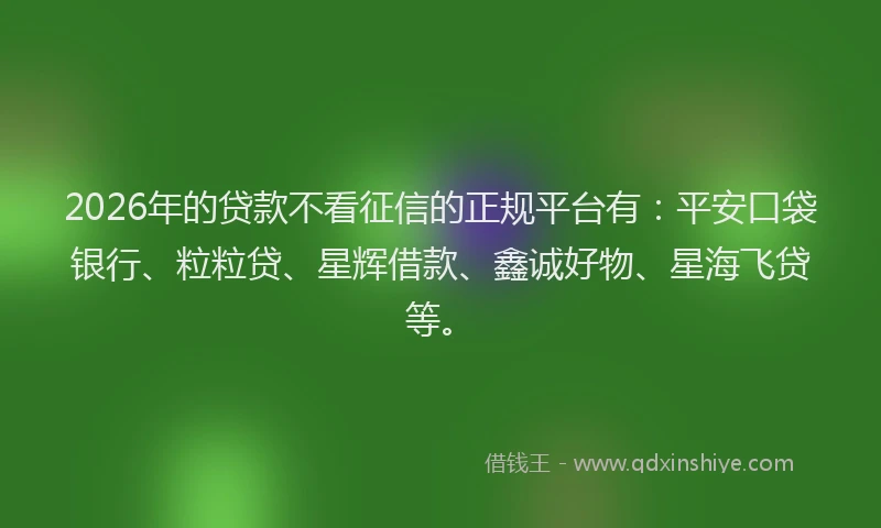 2026年的贷款不看征信的正规平台有：平安口袋银行、粒粒贷、星辉借款、鑫诚好物、星海飞贷等。