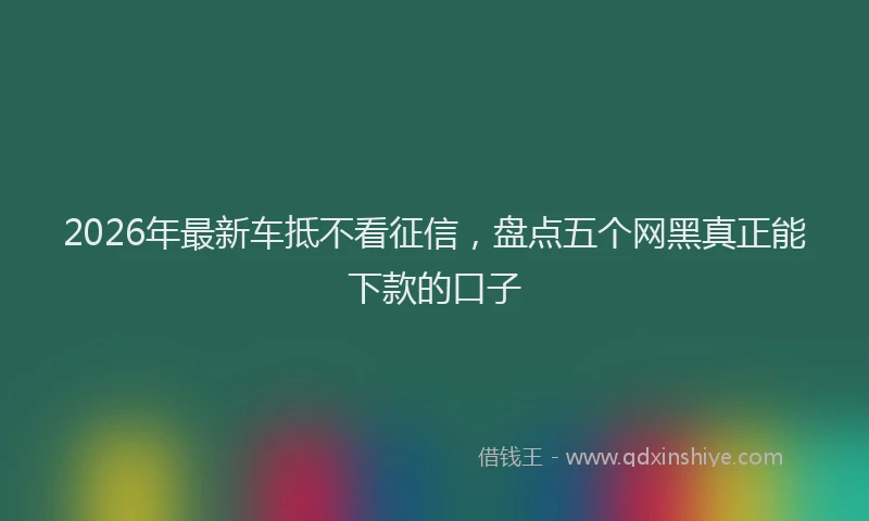 2026年最新车抵不看征信，盘点五个网黑真正能下款的口子
