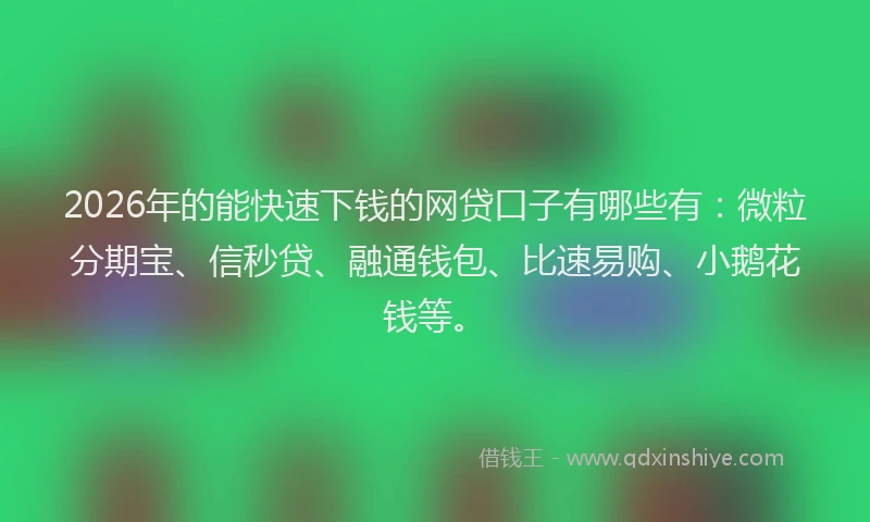 2026年的能快速下钱的网贷口子有哪些有：微粒分期宝、信秒贷、融通钱包、比速易购、小鹅花钱等。