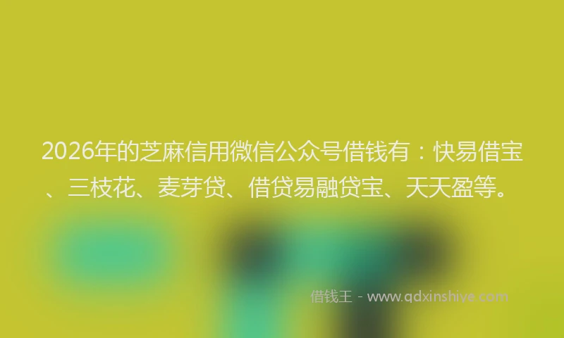 2026年的芝麻信用微信公众号借钱有：快易借宝、三枝花、麦芽贷、借贷易融贷宝、天天盈等。
