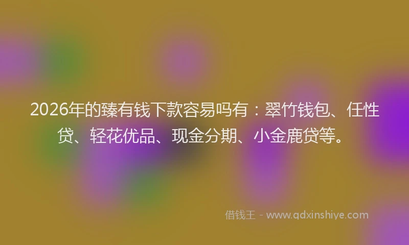 2026年的臻有钱下款容易吗有：翠竹钱包、任性贷、轻花优品、现金分期、小金鹿贷等。