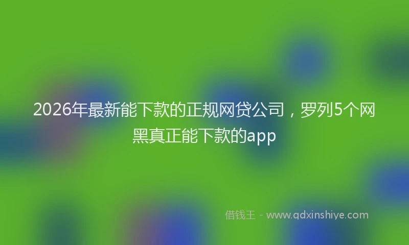 2026年最新能下款的正规网贷公司，罗列5个网黑真正能下款的app