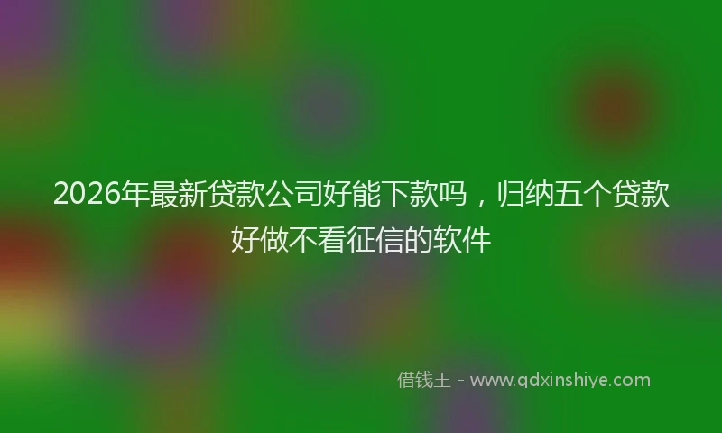 2026年最新贷款公司好能下款吗，归纳五个贷款好做不看征信的软件
