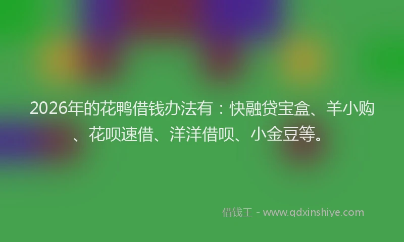 2026年的花鸭借钱办法有：快融贷宝盒、羊小购、花呗速借、洋洋借呗、小金豆等。