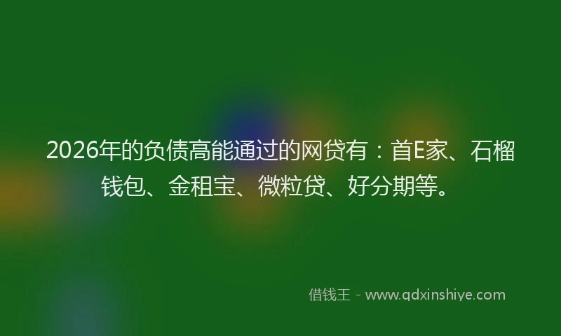 2026年的负债高能通过的网贷有：首E家、石榴钱包、金租宝、微粒贷、好分期等。