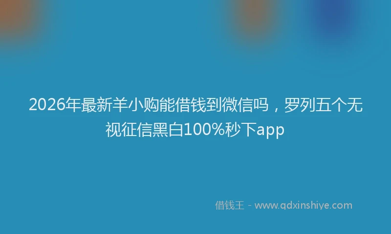 2026年最新羊小购能借钱到微信吗，罗列五个无视征信黑白100%秒下app