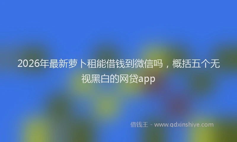 2026年最新萝卜租能借钱到微信吗，概括五个无视黑白的网贷app