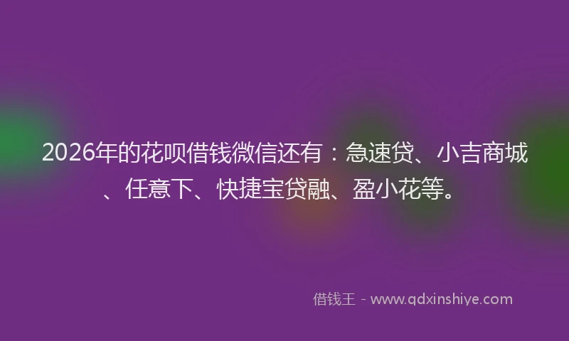 2026年的花呗借钱微信还有：急速贷、小吉商城、任意下、快捷宝贷融、盈小花等。