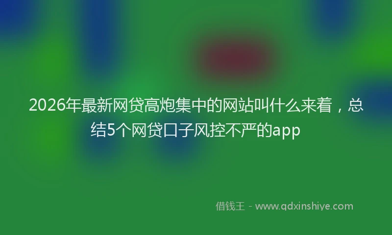 2026年最新网贷高炮集中的网站叫什么来着，总结5个网贷口子风控不严的app