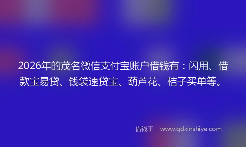2026年的茂名微信支付宝账户借钱有：闪用、借款宝易贷、钱袋速贷宝、葫芦花、桔子买单等。