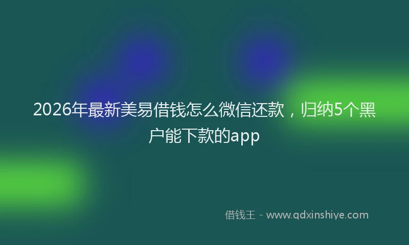 2026年最新美易借钱怎么微信还款，归纳5个黑户能下款的app