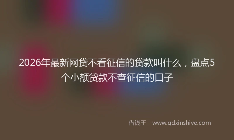2026年最新网贷不看征信的贷款叫什么，盘点5个小额贷款不查征信的口子