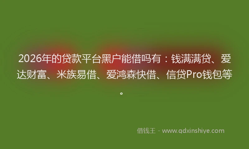 2026年的贷款平台黑户能借吗有：钱满满贷、爱达财富、米族易借、爱鸿森快借、信贷Pro钱包等。