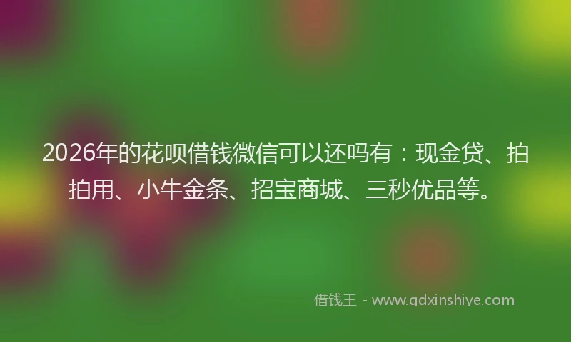 2026年的花呗借钱微信可以还吗有：现金贷、拍拍用、小牛金条、招宝商城、三秒优品等。