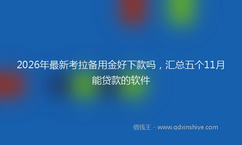 2026年最新考拉备用金好下款吗，汇总五个11月能贷款的软件