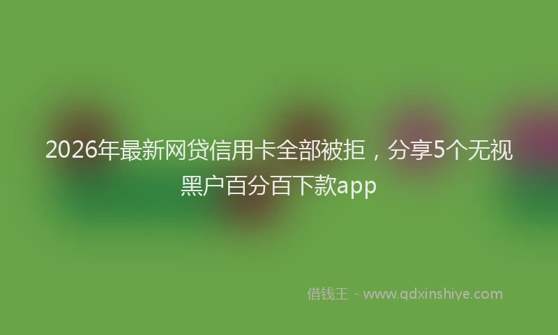 2026年最新网贷信用卡全部被拒，分享5个无视黑户百分百下款app