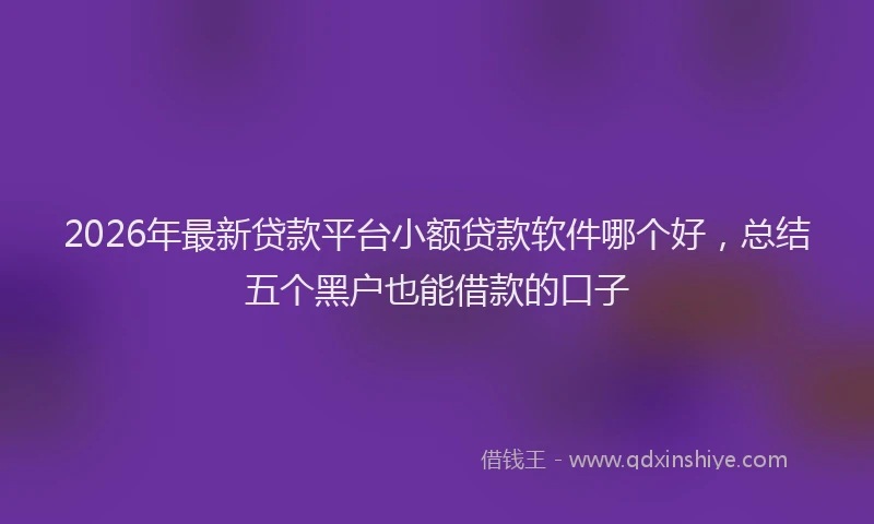 2026年最新贷款平台小额贷款软件哪个好，总结五个黑户也能借款的口子