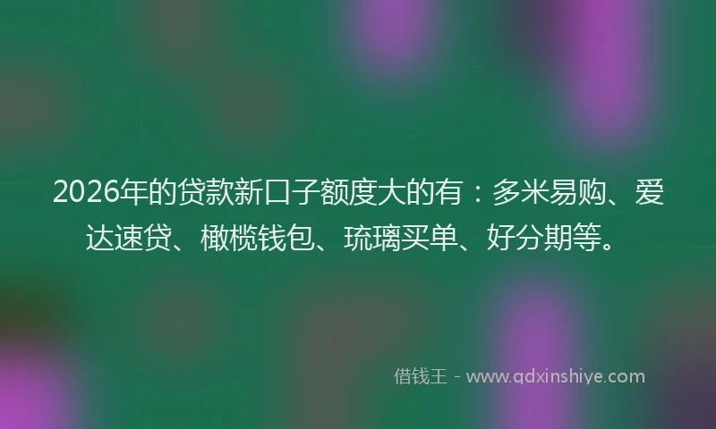 2026年的贷款新口子额度大的有：多米易购、爱达速贷、橄榄钱包、琉璃买单、好分期等。