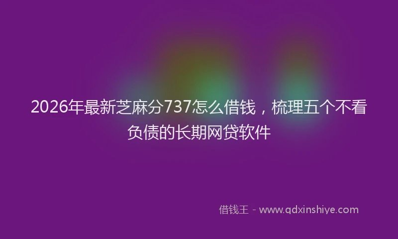 2026年最新芝麻分737怎么借钱，梳理五个不看负债的长期网贷软件