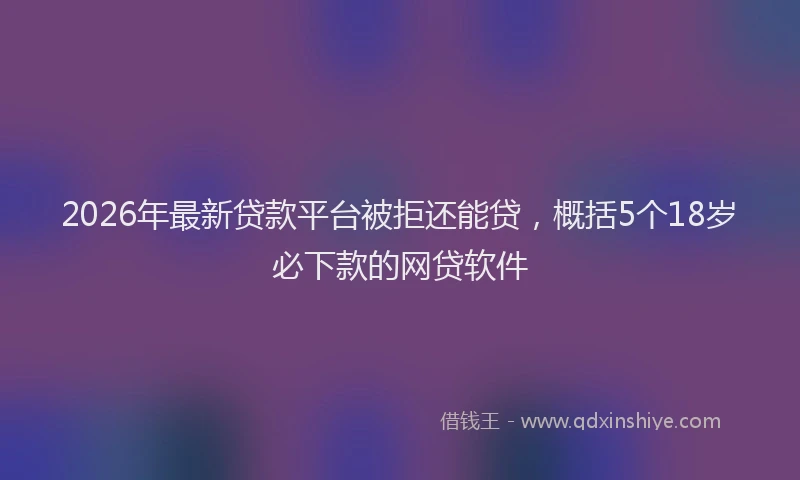 2026年最新贷款平台被拒还能贷，概括5个18岁必下款的网贷软件