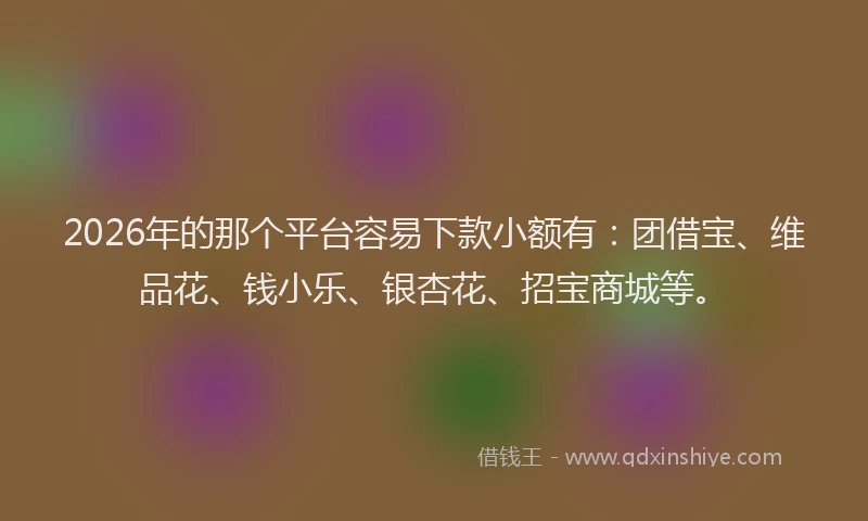 2026年的那个平台容易下款小额有：团借宝、维品花、钱小乐、银杏花、招宝商城等。