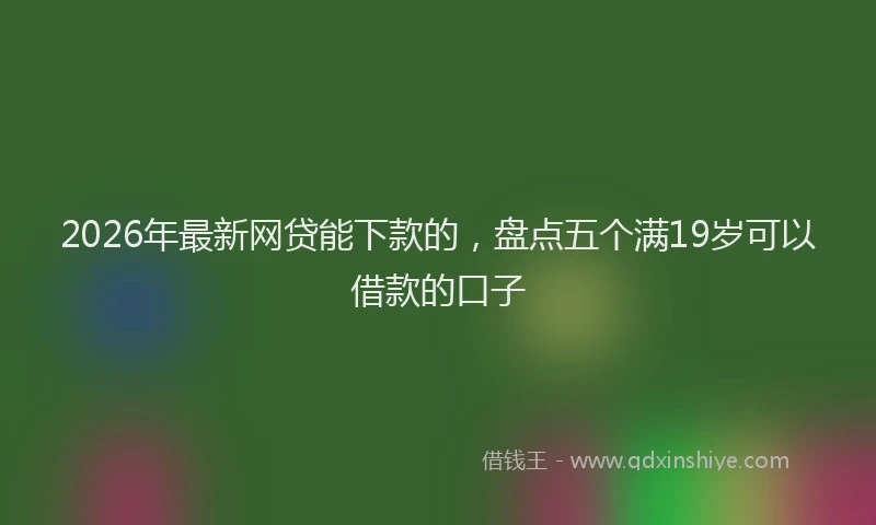 2026年最新网贷能下款的，盘点五个满19岁可以借款的口子