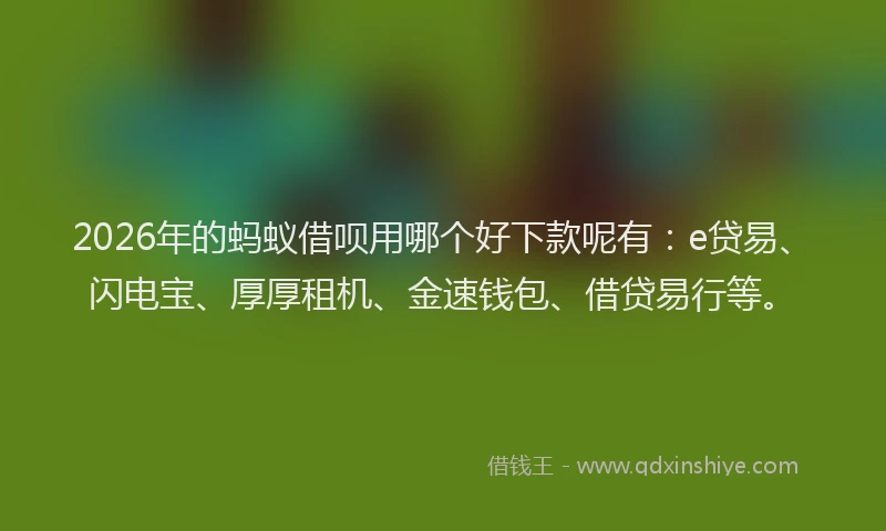2026年的蚂蚁借呗用哪个好下款呢有：e贷易、闪电宝、厚厚租机、金速钱包、借贷易行等。