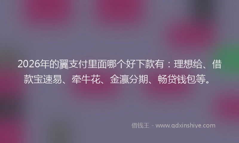2026年的翼支付里面哪个好下款有：理想给、借款宝速易、牵牛花、金瀛分期、畅贷钱包等。