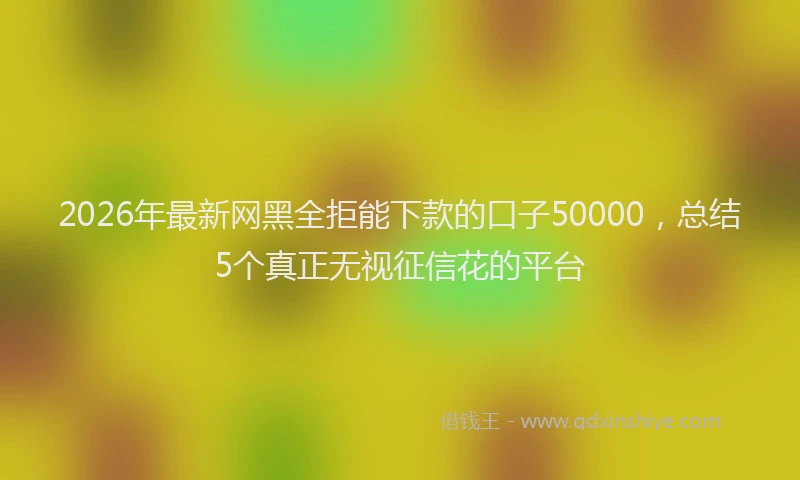 2026年最新网黑全拒能下款的口子50000，总结5个真正无视征信花的平台