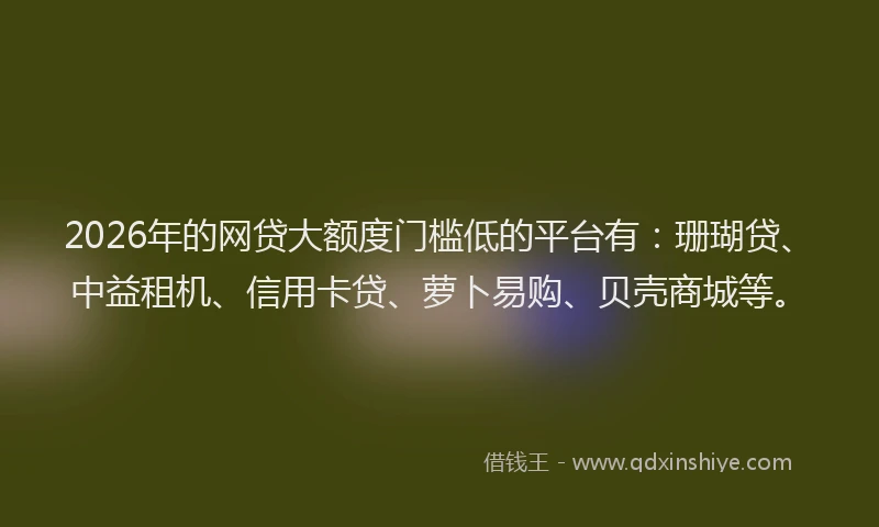 2026年的网贷大额度门槛低的平台有：珊瑚贷、中益租机、信用卡贷、萝卜易购、贝壳商城等。
