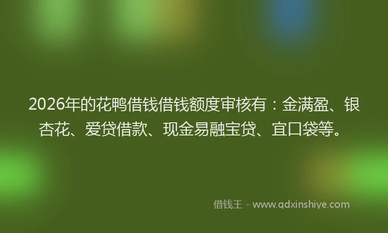 2026年的花鸭借钱借钱额度审核有：金满盈、银杏花、爱贷借款、现金易融宝贷、宜口袋等。