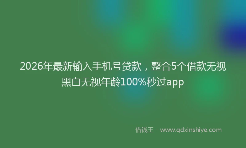 2026年最新输入手机号贷款，整合5个借款无视黑白无视年龄100%秒过app