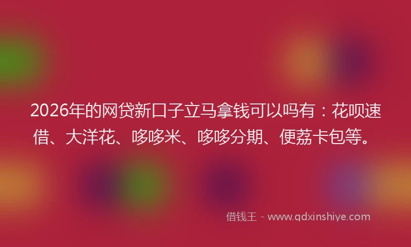 2026年的网贷新口子立马拿钱可以吗有：花呗速借、大洋花、哆哆米、哆哆分期、便荔卡包等。