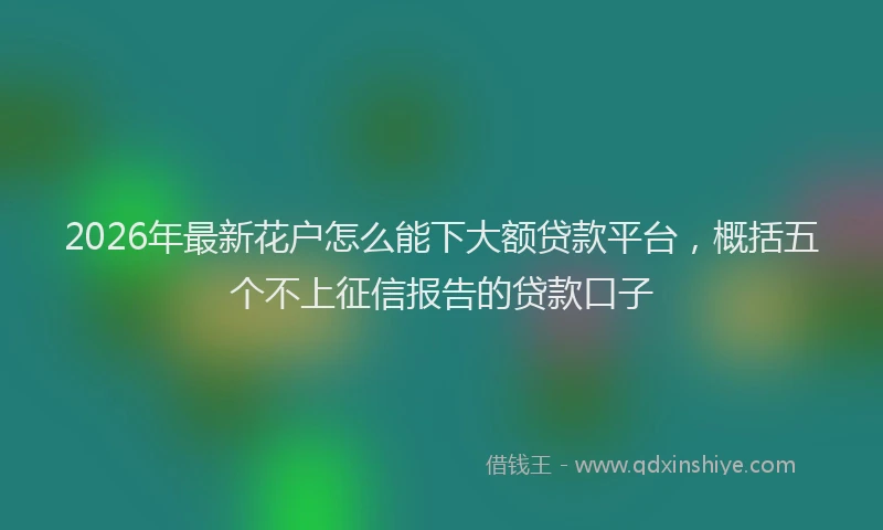 2026年最新花户怎么能下大额贷款平台，概括五个不上征信报告的贷款口子