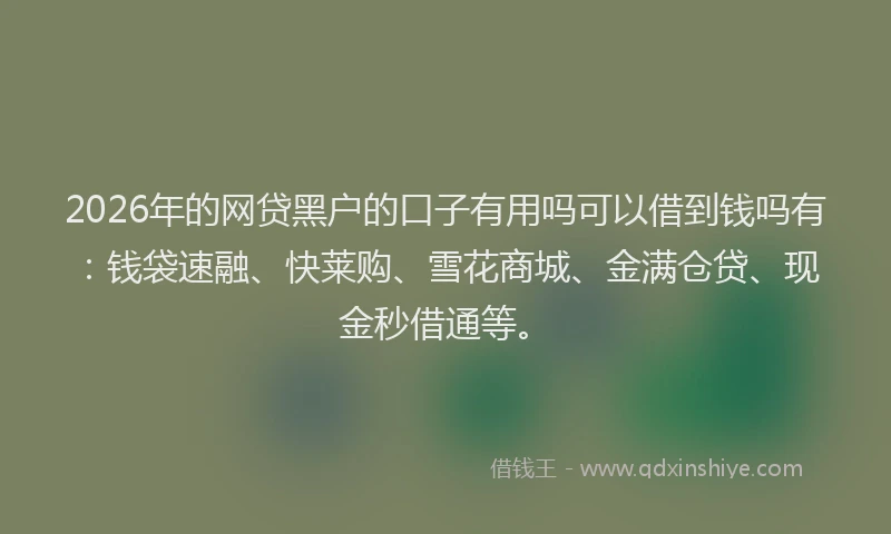 2026年的网贷黑户的口子有用吗可以借到钱吗有：钱袋速融、快莱购、雪花商城、金满仓贷、现金秒借通等。