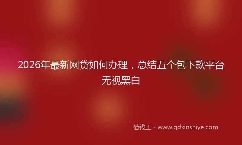 2026年最新网贷如何办理，总结五个包下款平台无视黑白