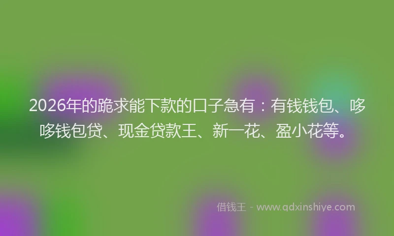 2026年的跪求能下款的口子急有：有钱钱包、哆哆钱包贷、现金贷款王、新一花、盈小花等。