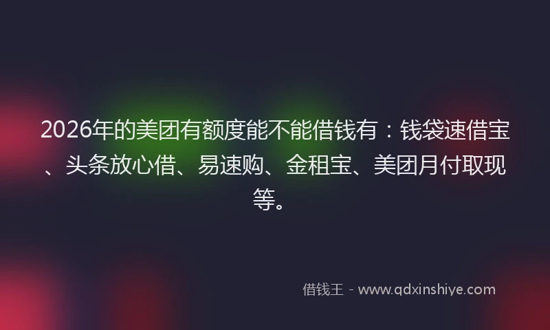2026年的美团有额度能不能借钱有：钱袋速借宝、头条放心借、易速购、金租宝、美团月付取现等。