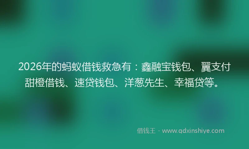 2026年的蚂蚁借钱救急有：鑫融宝钱包、翼支付甜橙借钱、速贷钱包、洋葱先生、幸福贷等。