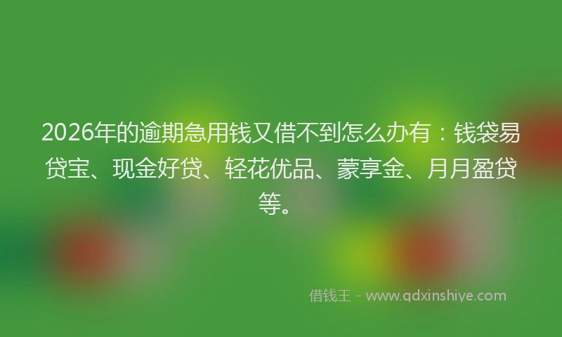 2026年的逾期急用钱又借不到怎么办有：钱袋易贷宝、现金好贷、轻花优品、蒙享金、月月盈贷等。