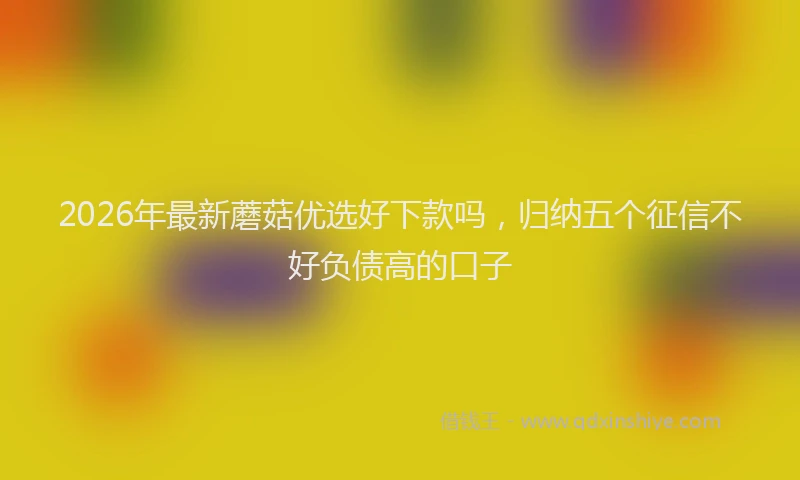 2026年最新蘑菇优选好下款吗，归纳五个征信不好负债高的口子