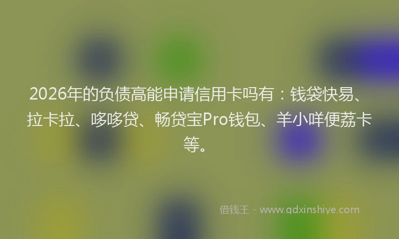 2026年的负债高能申请信用卡吗有：钱袋快易、拉卡拉、哆哆贷、畅贷宝Pro钱包、羊小咩便荔卡等。