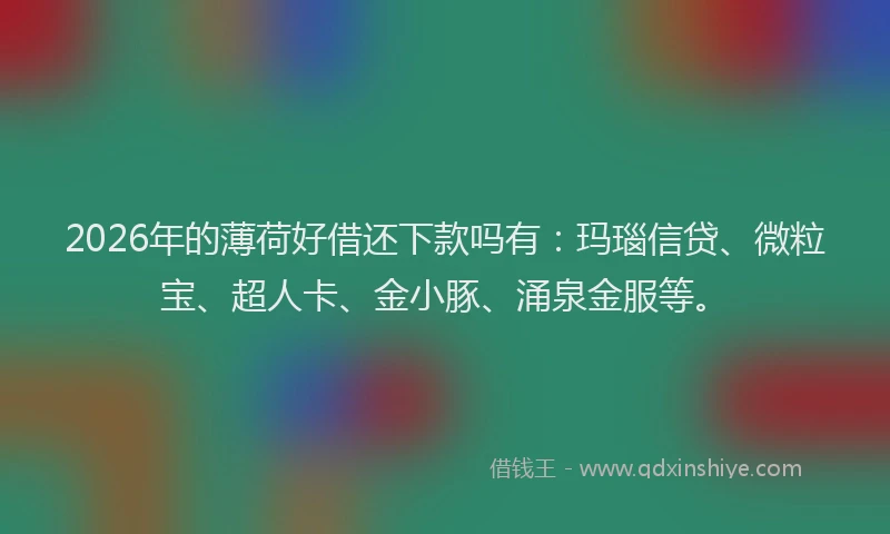 2026年的薄荷好借还下款吗有：玛瑙信贷、微粒宝、超人卡、金小豚、涌泉金服等。