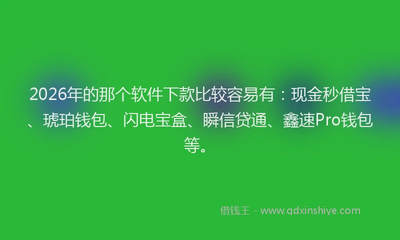 2026年的那个软件下款比较容易有：现金秒借宝、琥珀钱包、闪电宝盒、瞬信贷通、鑫速Pro钱包等。