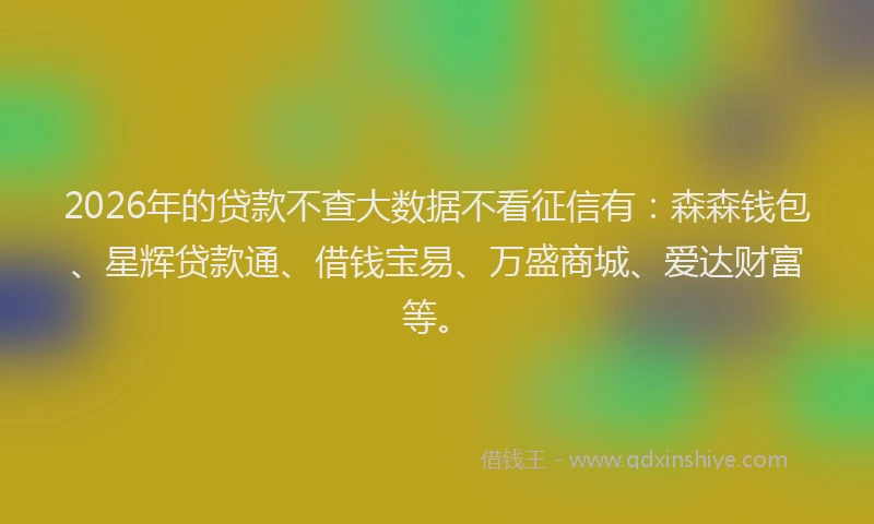 2026年的贷款不查大数据不看征信有：森森钱包、星辉贷款通、借钱宝易、万盛商城、爱达财富等。