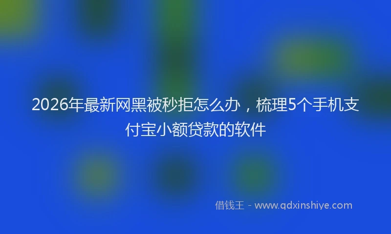 2026年最新网黑被秒拒怎么办，梳理5个手机支付宝小额贷款的软件