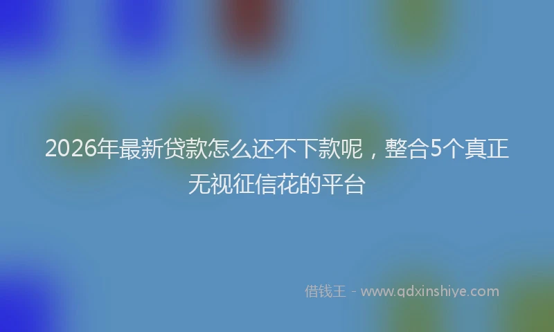 2026年最新贷款怎么还不下款呢，整合5个真正无视征信花的平台
